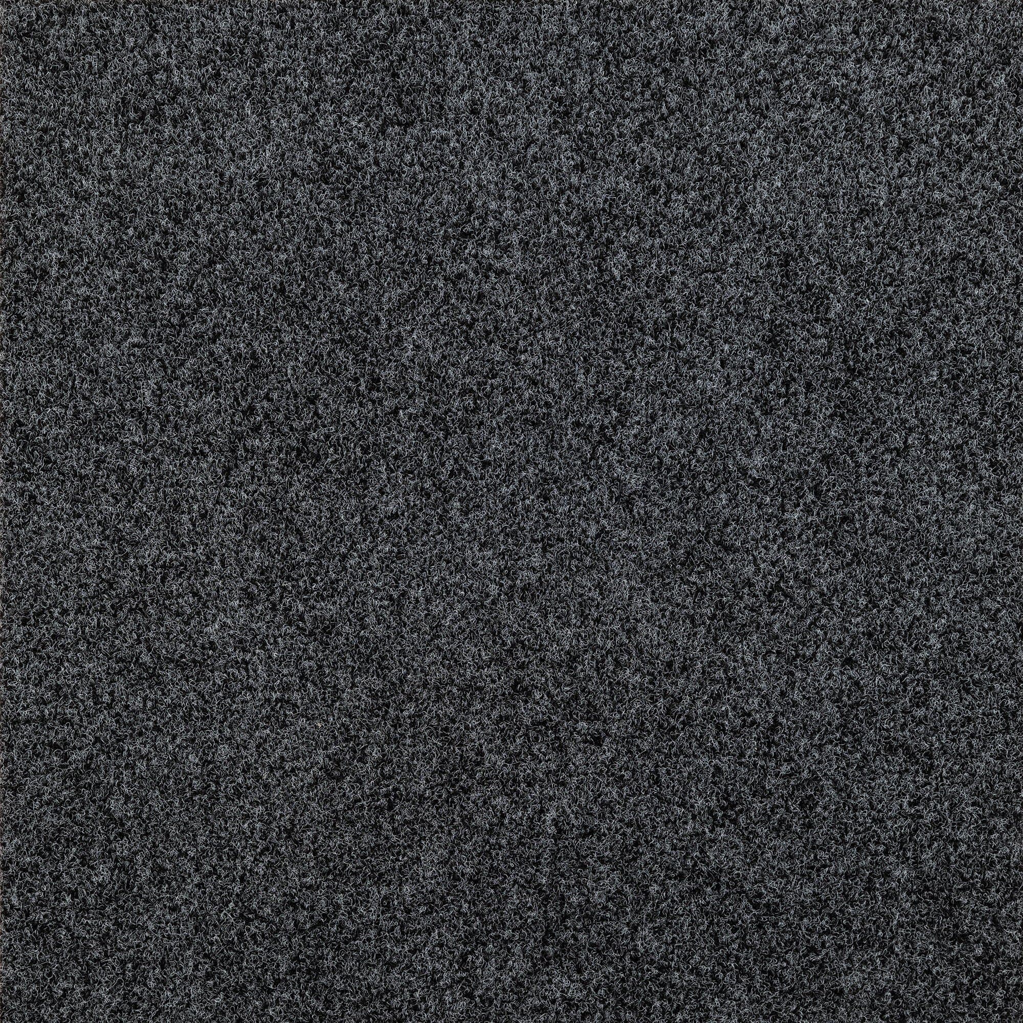 ProTile Needlepunch Carpet Pier 28 Raven product image